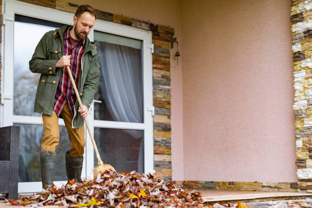 Best Furniture Removal Near Me  in Waikapu, HI